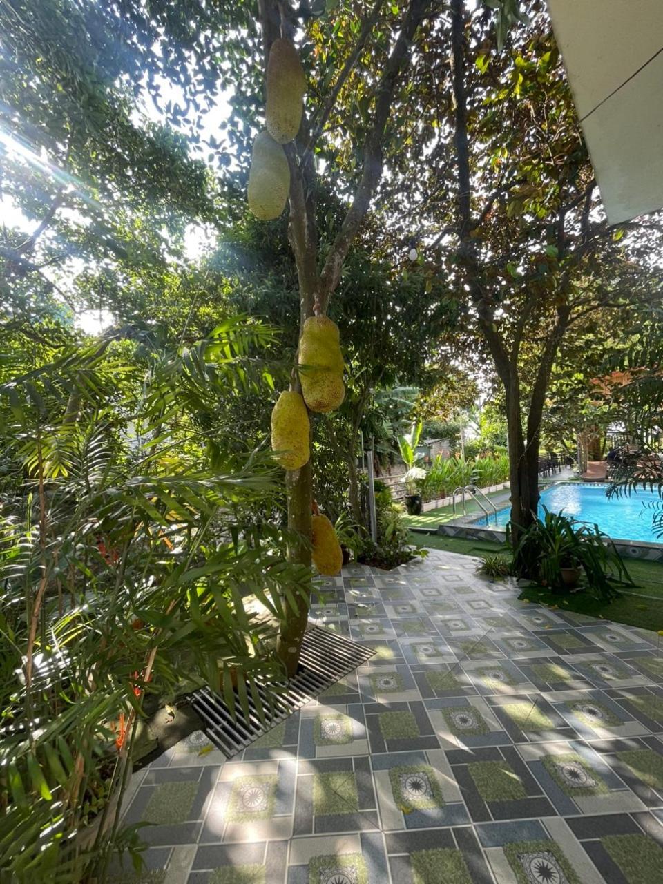 Tam Coc Relax Homestay Ninh Binh Buitenkant foto
