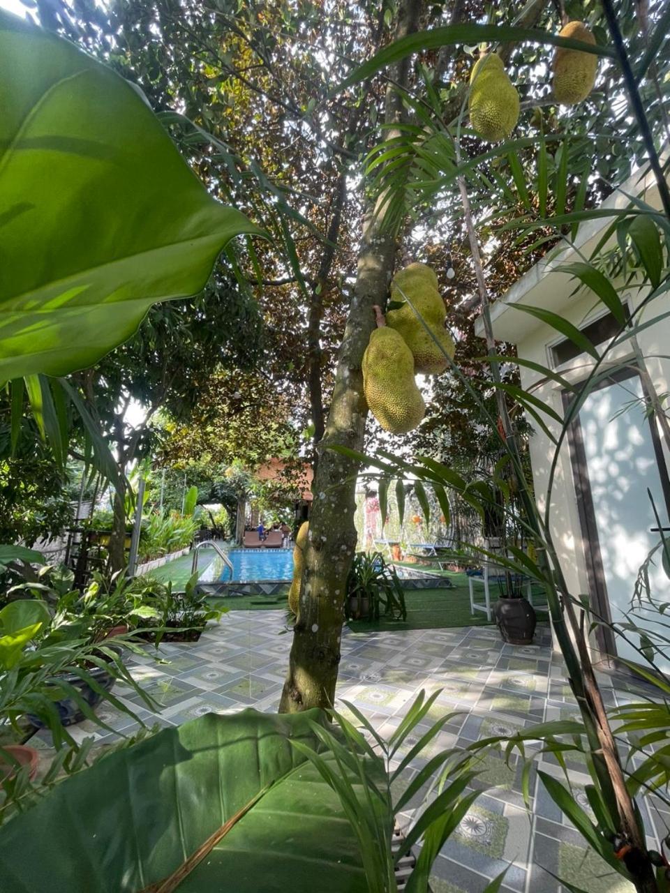 Tam Coc Relax Homestay Ninh Binh Buitenkant foto